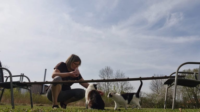 Ich beim Clickertraining mit unseren Katzen