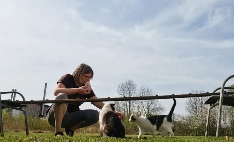 Ich beim Clickertraining mit unseren Katzen