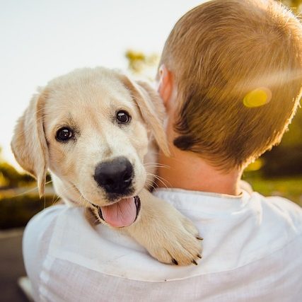 Ein Mann trägt einen Hund, der über seine Schulter nach hinten schaut