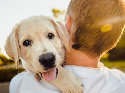 Ein Mann trägt einen Hund, der vergnügt über seine Schulter schaut
